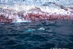 Na Pali