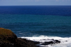 Kilauea Point