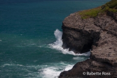 Kilauea Point