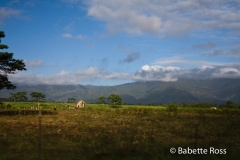 Kaua'i