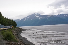 Alaskan Railroad, Coastal Classic