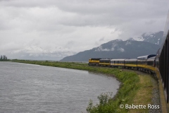 Alaskan Railroad, Coastal Classic