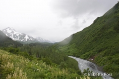 Alaskan Railroad, Coastal Classic