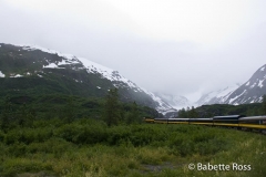 Alaskan Railroad, Coastal Classic