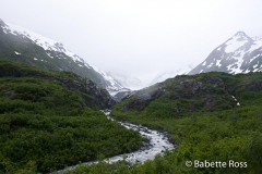 Alaskan Railroad, Coastal Classic