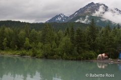 Alaskan Railroad, Coastal Classic