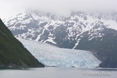 Holgate Glacier