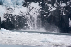 Holgate Glacier Calving