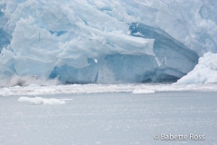 Holgate Glacier Calving