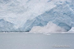 Holgate Glacier Calving