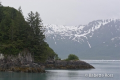 Kenai Fjord National Park