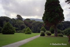 Killarney 1993-08-31