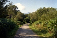 Killarney 1993-08-31