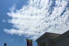 In-N-Out