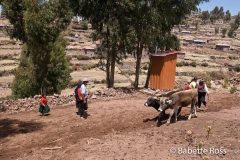 Taquile