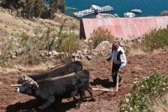 Taquile