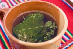 Coca Tea