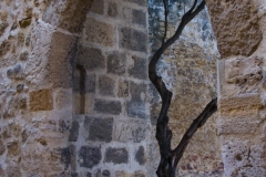 Castello di Sao Jorge