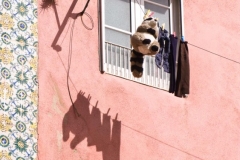 Alfama Laundry Line