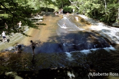 Looking Glass Falls