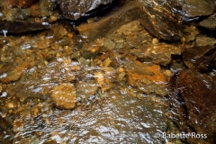 Looking Glass Falls