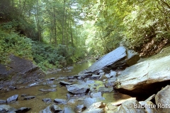 Looking Glass Falls
