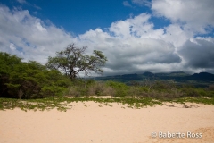 Makena Beach