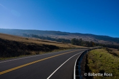 Biking Haleakala