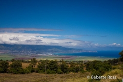 Biking Haleakala