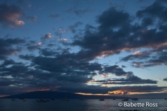 Lahaina Sunset +Spotted Ray