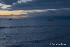 Lahaina Sunset + Spotted Ray & Turtle