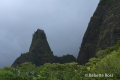 Iao State Park