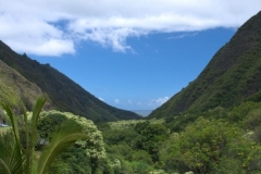 Iao State Park