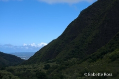 Iao State Park