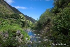 Iao State Park
