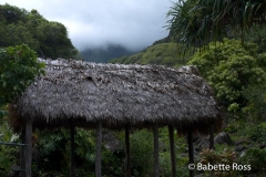 Iao State Park