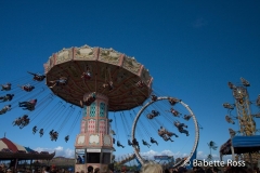 Maui County Fair