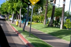 Lahaina - Surfer Crossing Sign