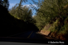 Road to Hana