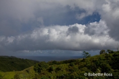 Road to Hana