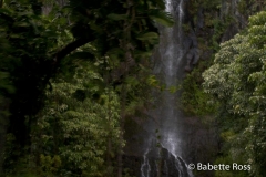 Road to Hana - Waterfall
