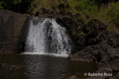 2Road to Hana - Waimoku Falls Hike