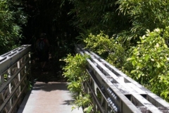Road to Hana - Waimoku Falls Hike