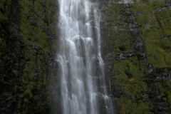 Road to Hana - Waimoku Falls Hike