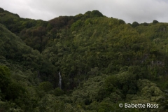 Road to Hana - Waterfall