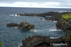 Road to Hana - Waianapanapa State Park