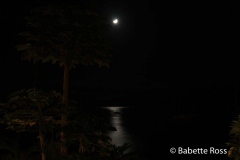Moon Over Lahaina