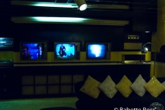 Graceland