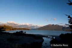 between Te Anu & MIlford Sound