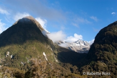 between Te Anu & MIlford Sound